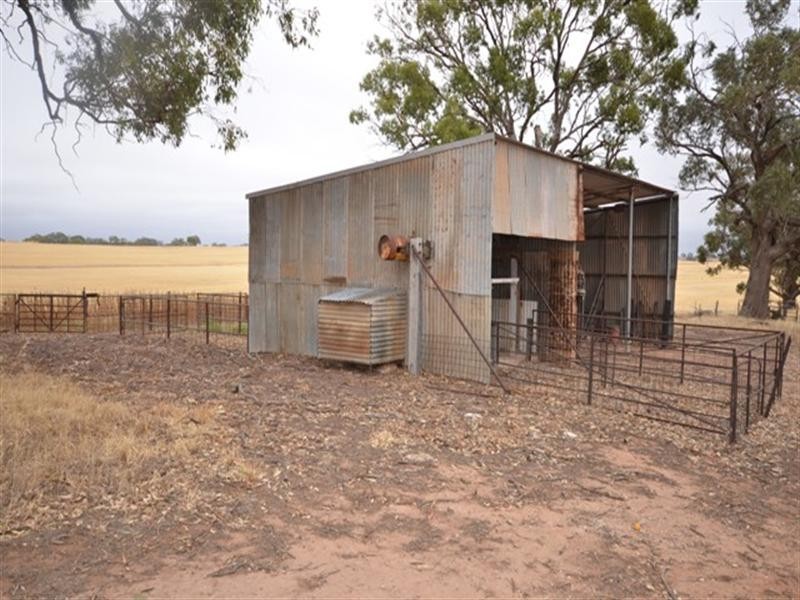 “Nunyara” Dust Bowl Road, Murray Town SA 5481