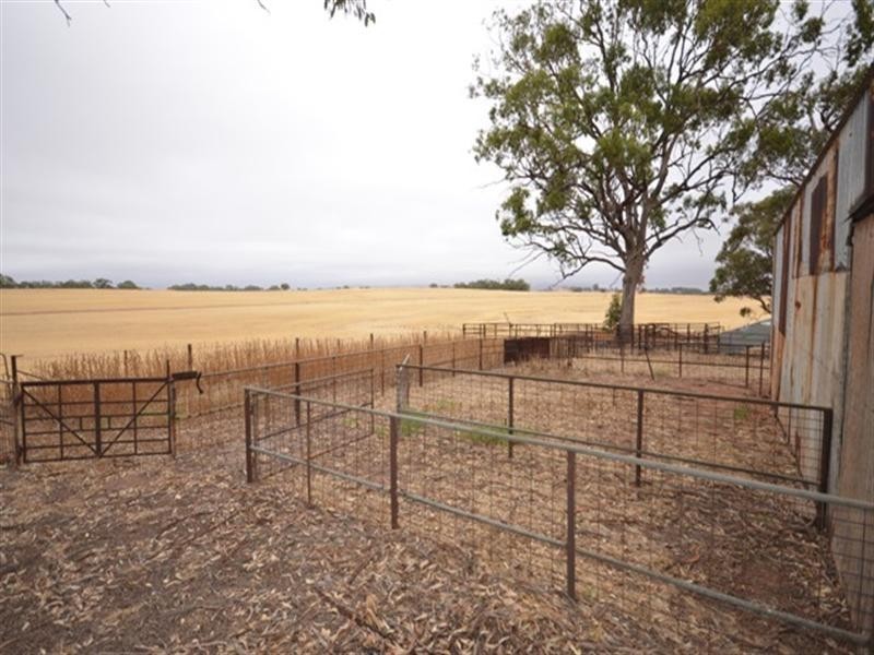 “Nunyara” Dust Bowl Road, Murray Town SA 5481