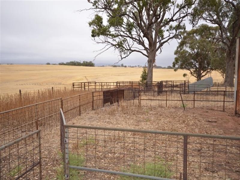 “Nunyara” Dust Bowl Road, Murray Town SA 5481