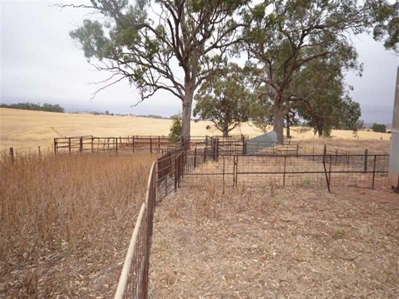 “Nunyara” Dust Bowl Road, Murray Town SA 5481