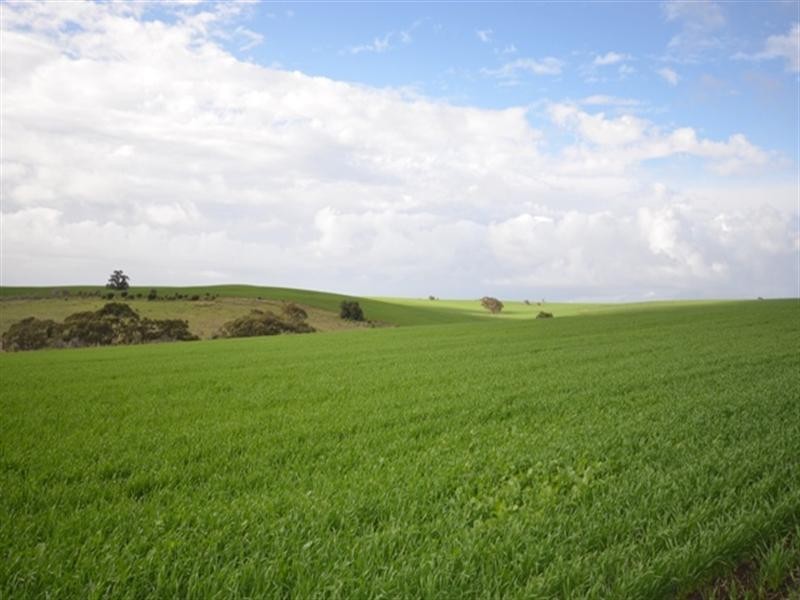 209 Allendale Road, Gawler SA 5118