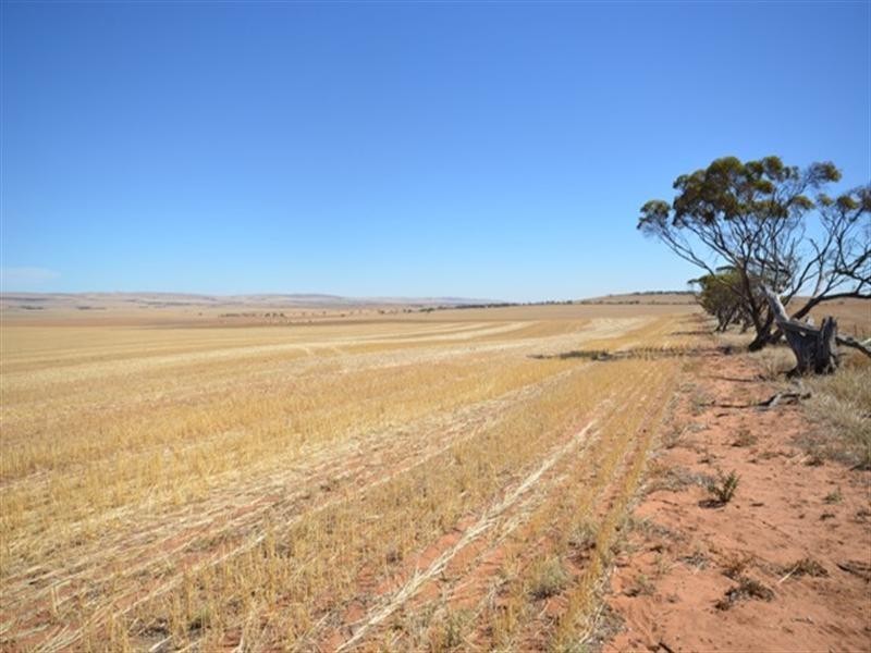 “Ashby’s” Bumbunga via, Snowtown SA 5520