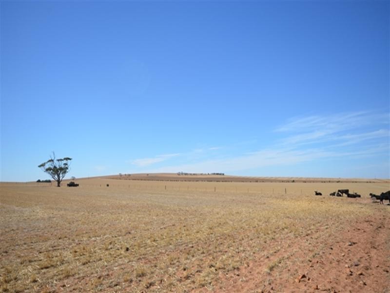 “Ashby’s” Bumbunga via, Snowtown SA 5520