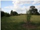 Lot 91 Main North Road, Auburn SA 5451