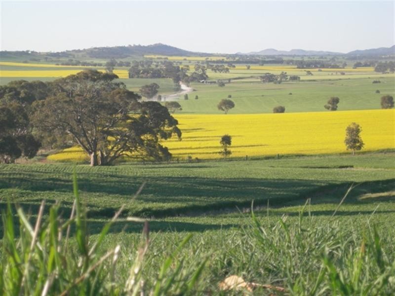 “Hewey’s” Tothill Creek via, Marrabel SA 5413