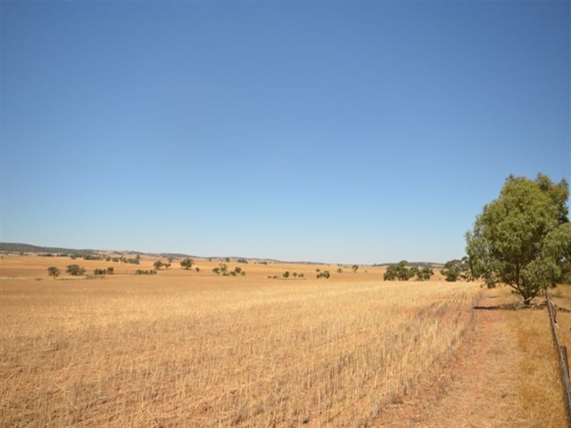 “Hewey’s” Tothill Creek via, Marrabel SA 5413