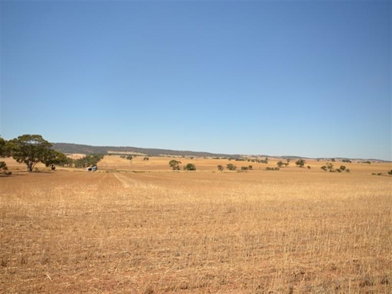 “Hewey’s” Tothill Creek via, Marrabel SA 5413