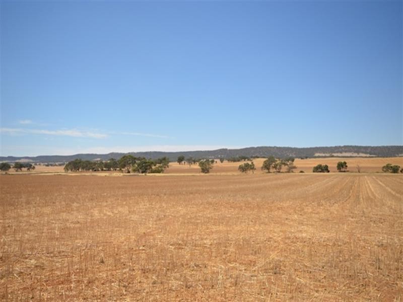 “Hewey’s” Tothill Creek via, Marrabel SA 5413