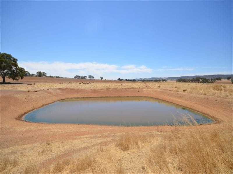 “Hewey’s” Tothill Creek via, Marrabel SA 5413