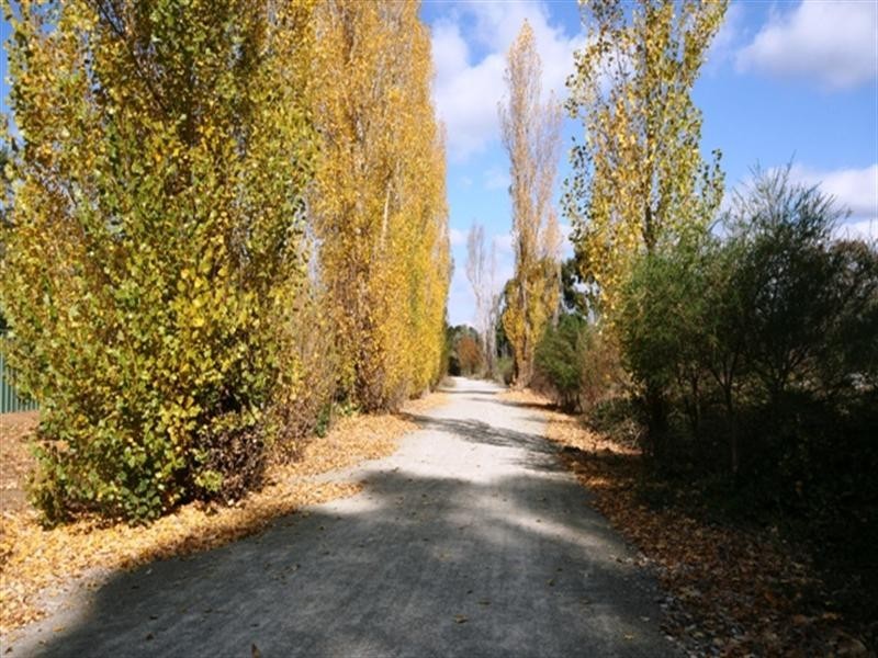 36 Warenda Road, Clare SA 5453