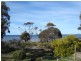 8 Esplanade, Pine Point SA 5571