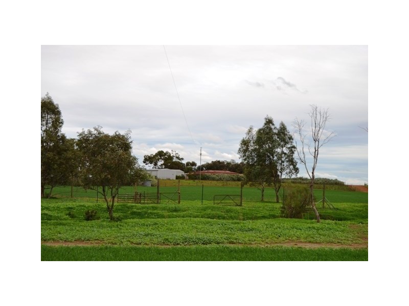 563 Saint Station Road, Whitwarta SA 5461