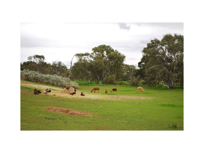 563 Saint Station Road, Whitwarta SA 5461