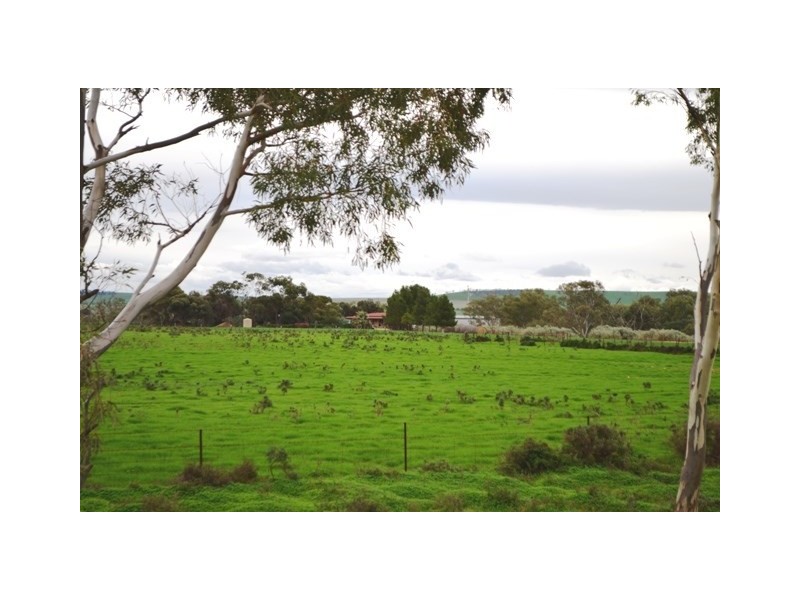 563 Saint Station Road, Whitwarta SA 5461