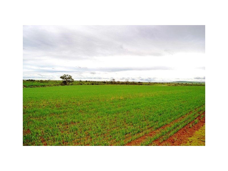 563 Saint Station Road, Whitwarta SA 5461