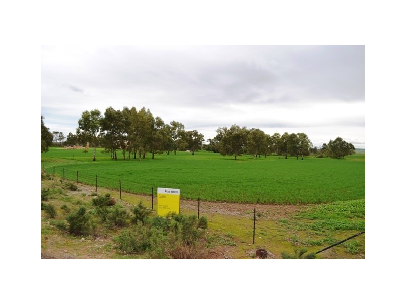 563 Saint Station Road, Whitwarta SA 5461
