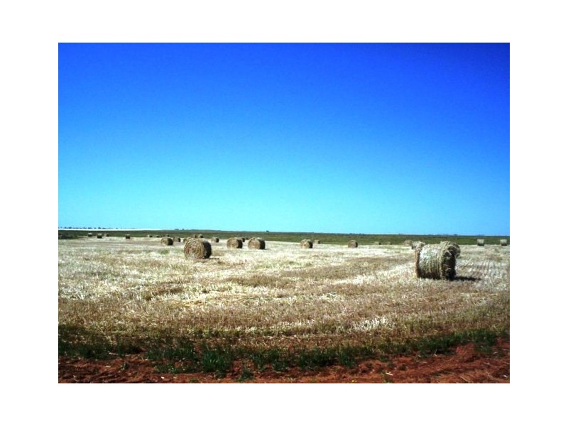 563 Saint Station Road, Whitwarta SA 5461