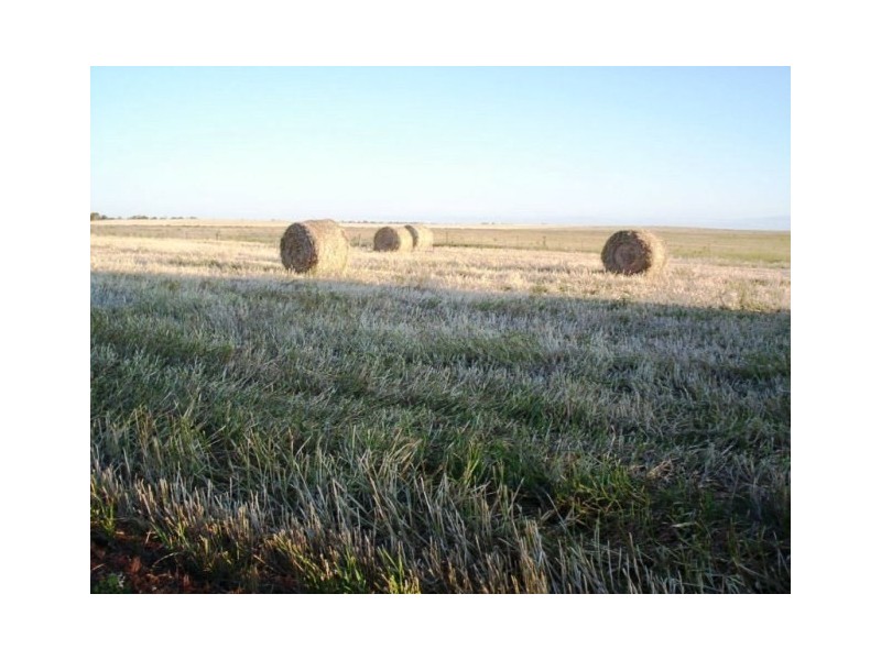 563 Saint Station Road, Whitwarta SA 5461