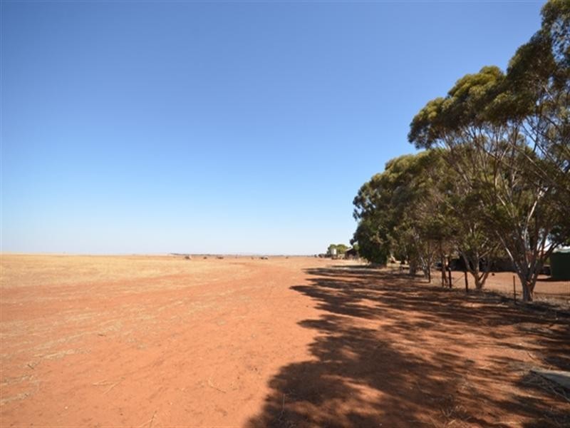 1405 Blyth Road, Blyth SA 5462