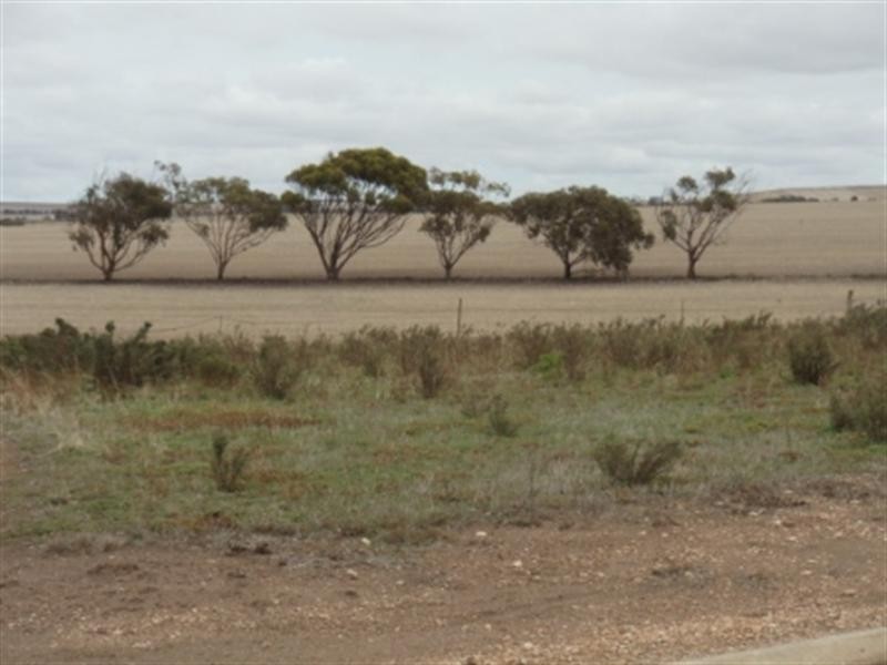 6 Douglas Court, Tiddy Widdy Beach SA 5571