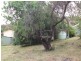 Lot 500 Agnes Street, Clare SA 5453