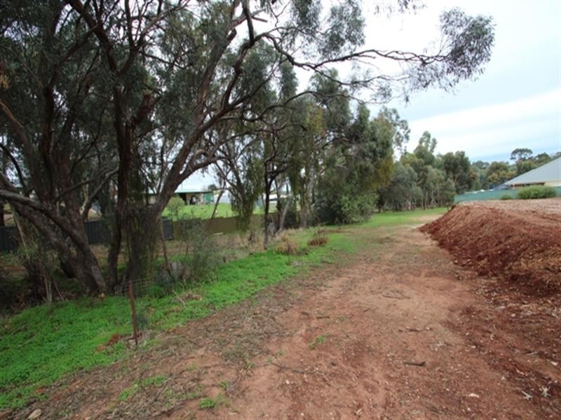 Lot 102 Tamblyn Street, Clare SA 5453