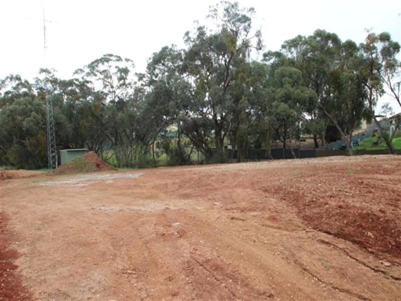 Lot 102 Tamblyn Street, Clare SA 5453