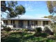 1480 Mt Templeton Road, Mount Templeton SA 5461