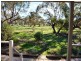 1480 Mt Templeton Road, Mount Templeton SA 5461