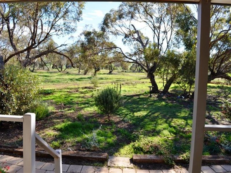 1480 Mt Templeton Road, Mount Templeton SA 5461