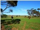 1480 Mt Templeton Road, Mount Templeton SA 5461