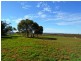 1480 Mt Templeton Road, Mount Templeton SA 5461