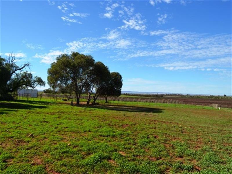 1480 Mt Templeton Road, Mount Templeton SA 5461