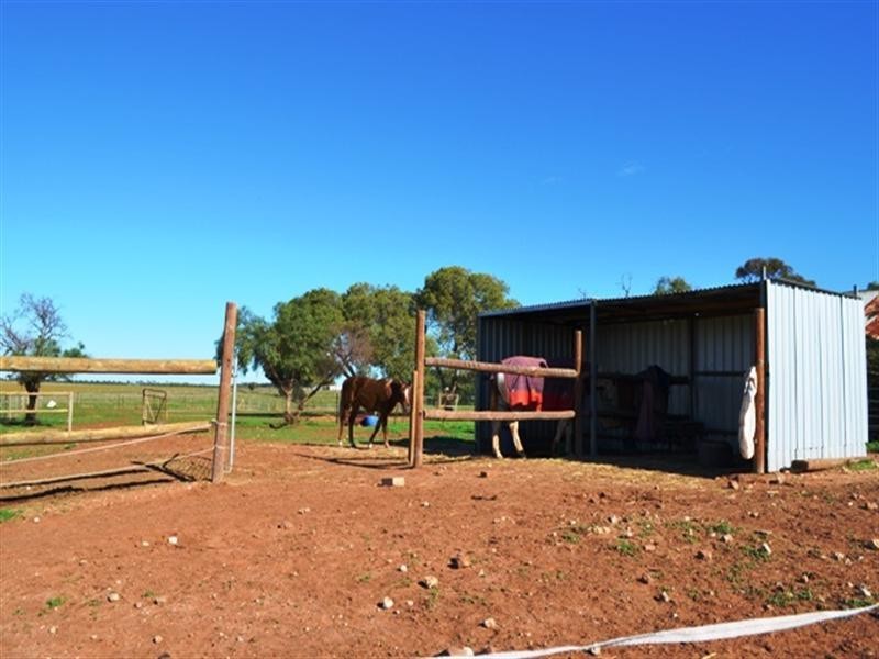 1480 Mt Templeton Road, Mount Templeton SA 5461