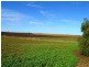 1480 Mt Templeton Road, Mount Templeton SA 5461