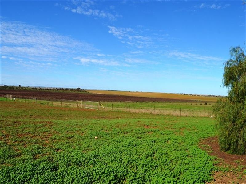1480 Mt Templeton Road, Mount Templeton SA 5461