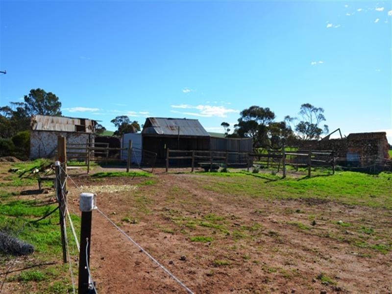 1480 Mt Templeton Road, Mount Templeton SA 5461