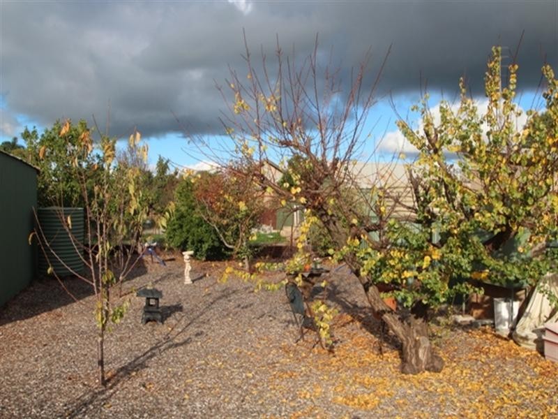 42 Government Road, Spalding SA 5454