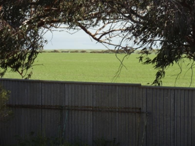 19 Hosking Road, Tiddy Widdy Beach SA 5571