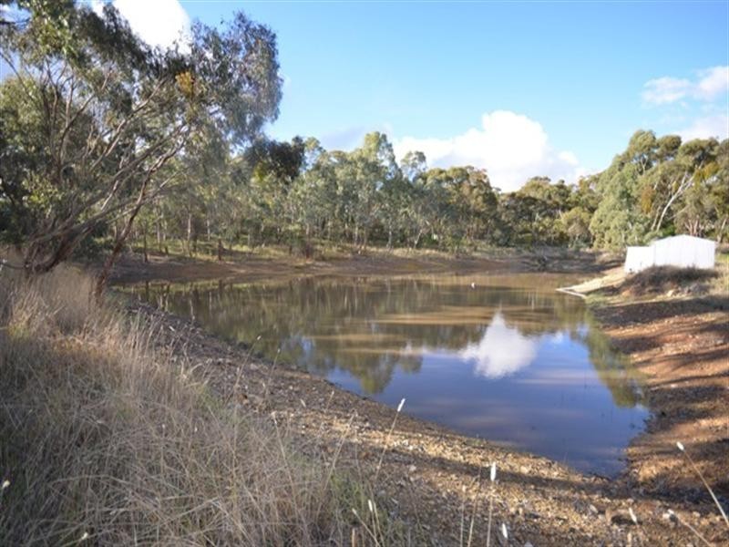 282 Warenda Road, Clare SA 5453