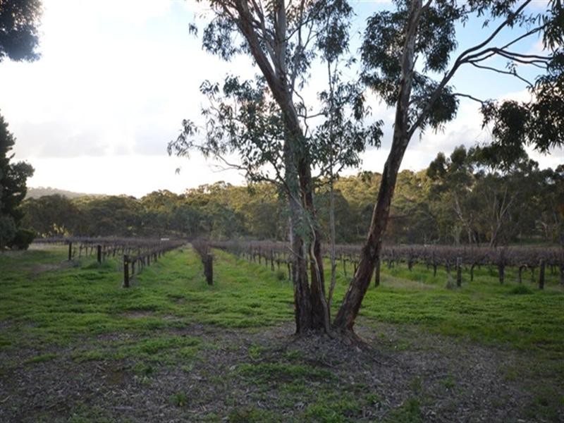 282 Warenda Road, Clare SA 5453