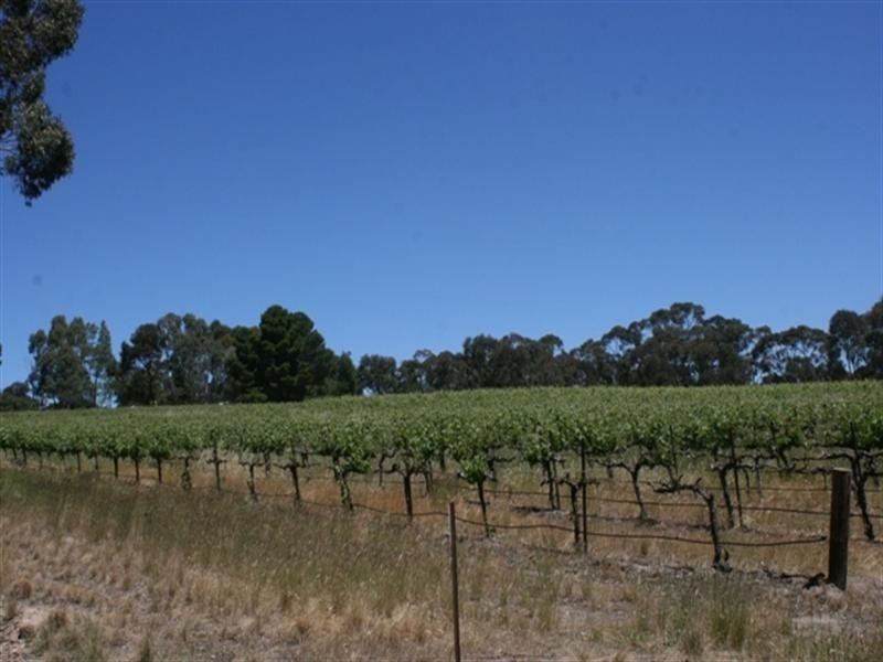 282 Warenda Road, Clare SA 5453