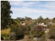 Lot 2 Burton Street, Clare SA 5453