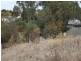 Lot 2 Burton Street, Clare SA 5453