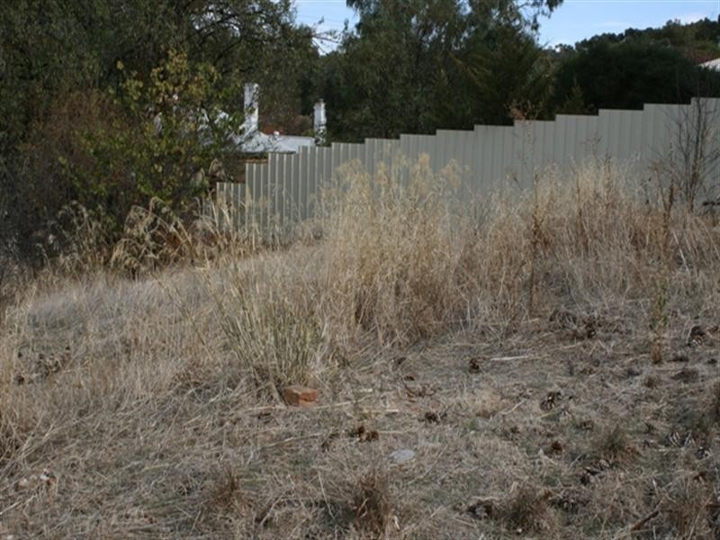 Lot 2 Burton Street, Clare SA 5453