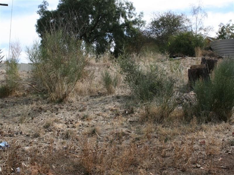 Lot 2 Burton Street, Clare SA 5453