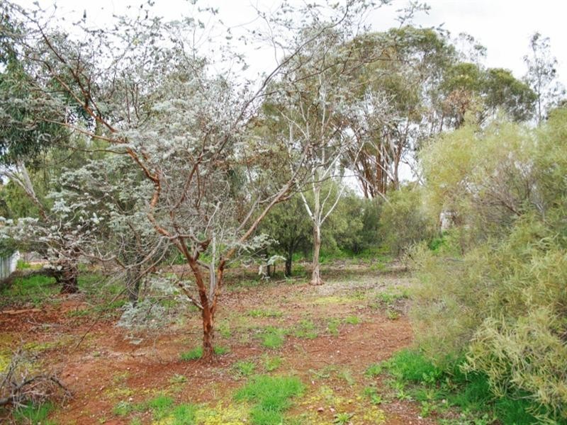 15 Barr Street, Redhill SA 5521