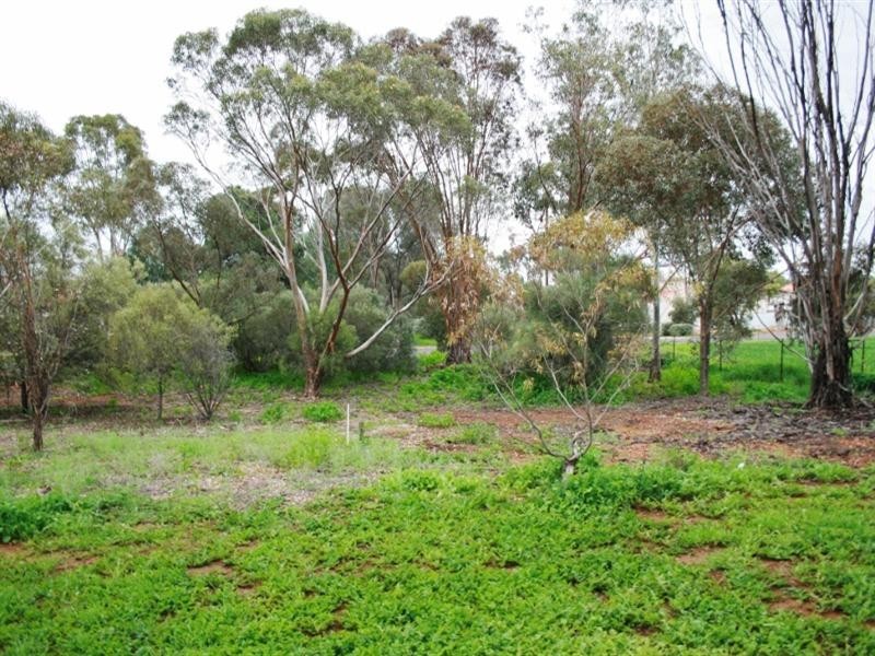 15 Barr Street, Redhill SA 5521