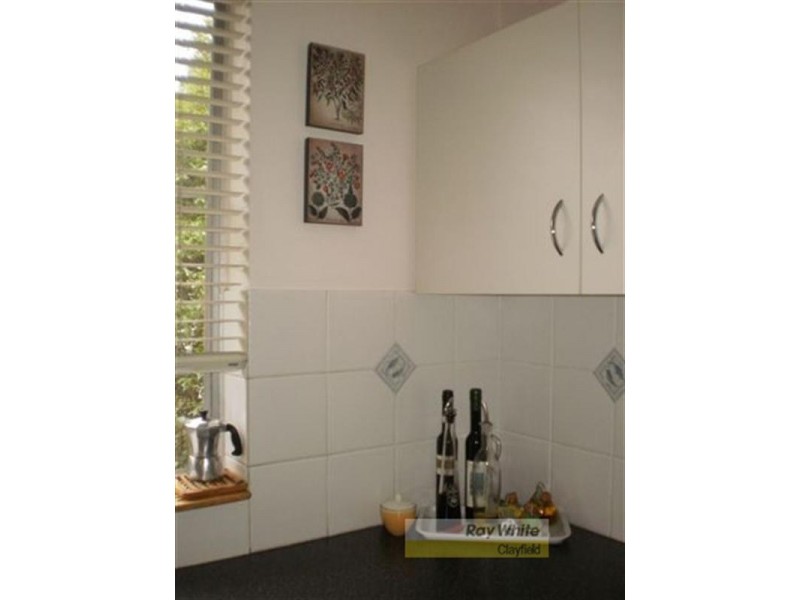 6/17 Stevenson Street, Ascot QLD 4007