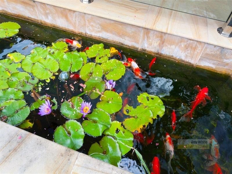 7 London Road, Clayfield QLD 4011